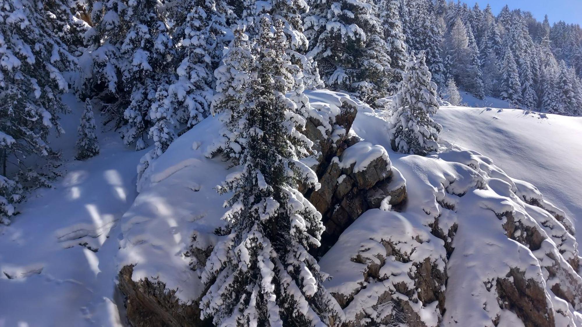 Plagne Bellecote Apartments لا بلاني المظهر الخارجي الصورة